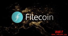 灰度持有多少FIL币？最新数据解析与投资洞察
