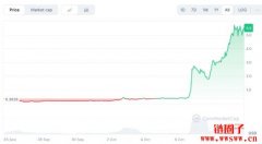 什么是COAI币？ChainOpera AI能否维持其涨势？
