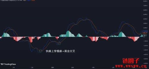 MACD指标怎么看？MACD参数设定到背离交易策略一次搞懂！