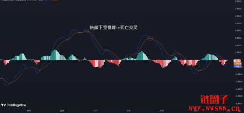 MACD指标怎么看？MACD参数设定到背离交易策略一次搞懂！