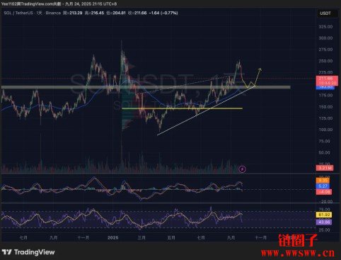 SOL币介绍与未来目标价格预测