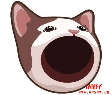 Solana龙头Memecoin生态币种有那些？简单介绍