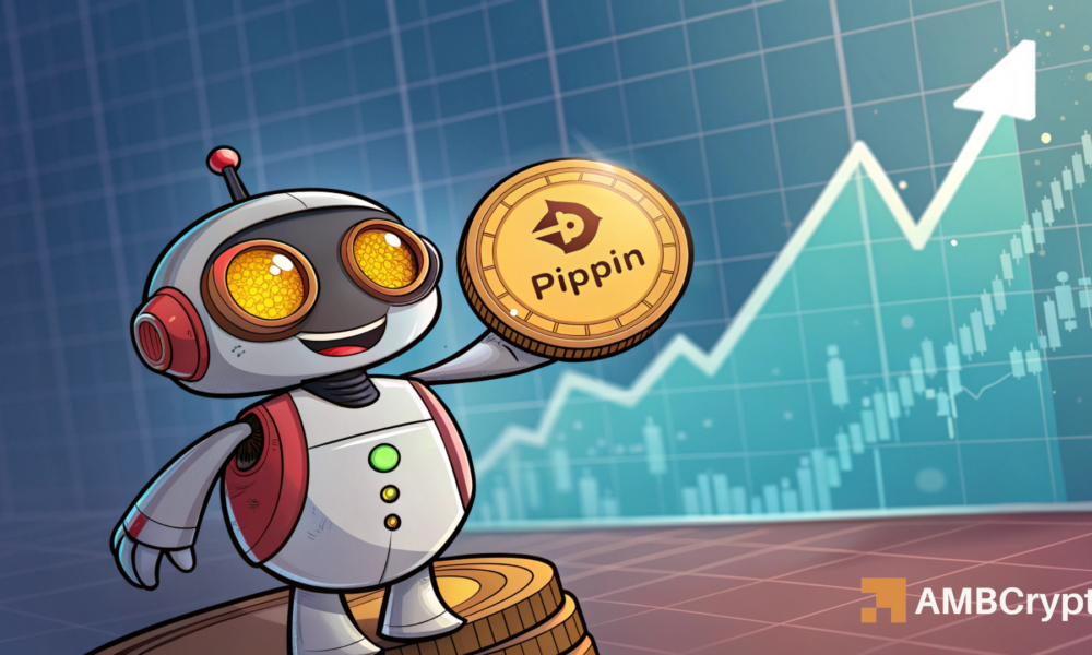 PIPPIN [飙升] 25%，但持有者