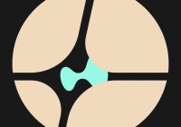 最“抗跌”的DEX！Hyperliquid 最全数据解析