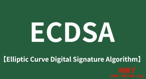 什么是ECDSA？ECDSA在现代密码学中的应用