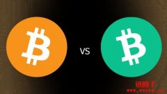 比特币 vs 比特币现金：2026年全面对比指南