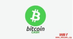 如何购买比特币现金（BCH）：2026年新加坡实用指南