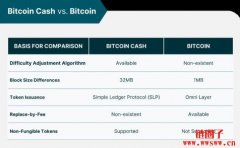 比特币的小兄弟：什么是比特币现金（Bitcoin Cash）？