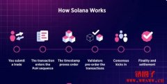 什么是Solana Labs？他们负责什么？