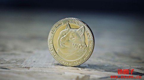 狗狗币巨鲸抄底买入，但 DOGE能否真正突破？