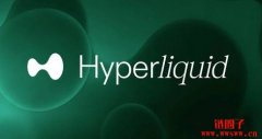 什么是Hyperliquid以及HYPE币？Hyperliquid是怎么运作的？