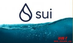 Sui共同创办人兼CTO Sam Blackshear离开Mysten Labs加入Anthropic
