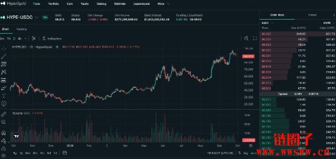 什么是Hyperliquid和HYPE币？HYPE代币有何用途？